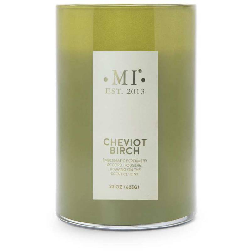 Colonial Candle Sophisticated masculine soy scented candle 22 oz 623 g - Cheviot Birch