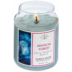 Soy scented candle Magical Forest Purple River 623 g