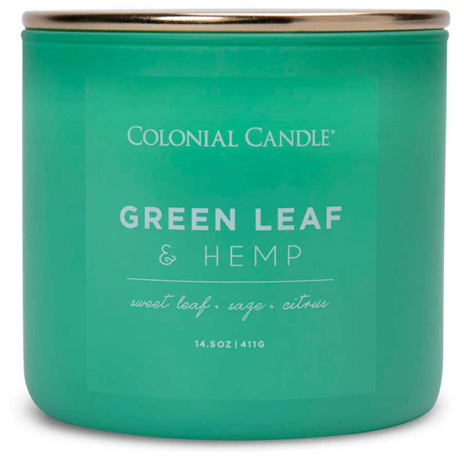 Colonial Candle Pop Of Color vonná sójová sviečka v skle 3 knôty 14,5 oz 411 g - Green Leaf & Hemp