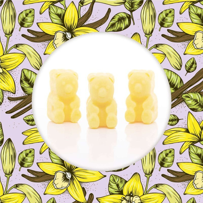 Soy wax melts Ted Friends 50 g - French Vanilla