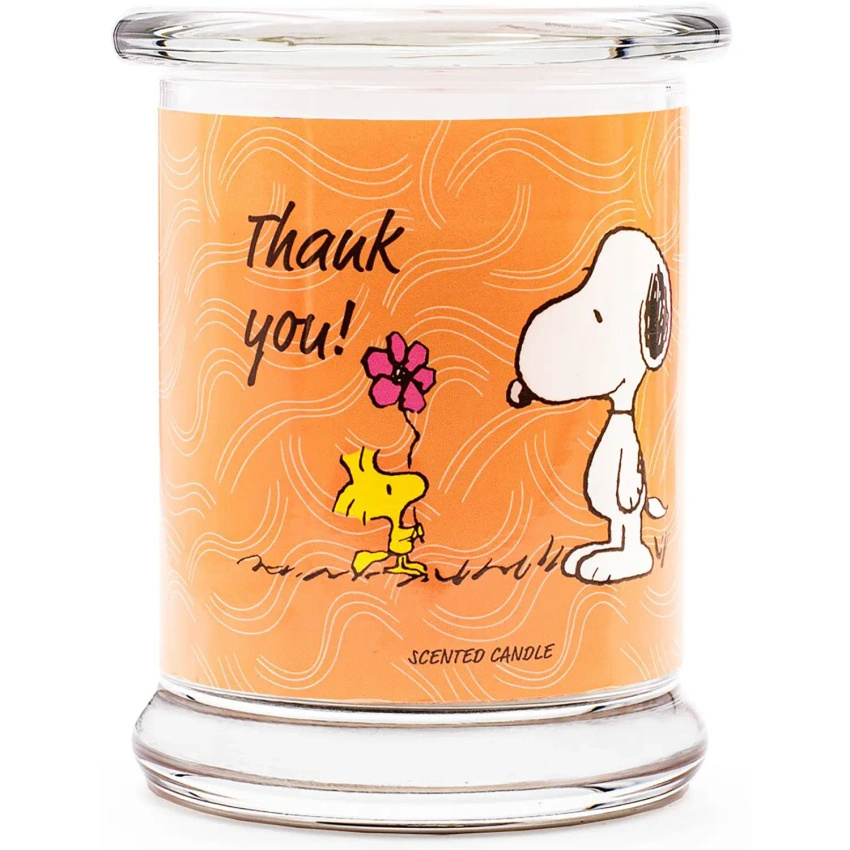Bougie parfumée en verre Peanuts 250 g - Thank You